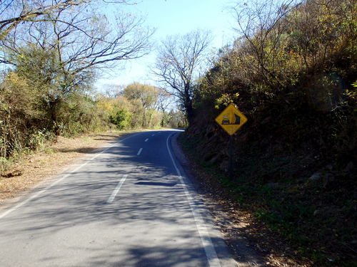 Typical road and flora for the Ruta 9 river Valley (Rio la Caldera).